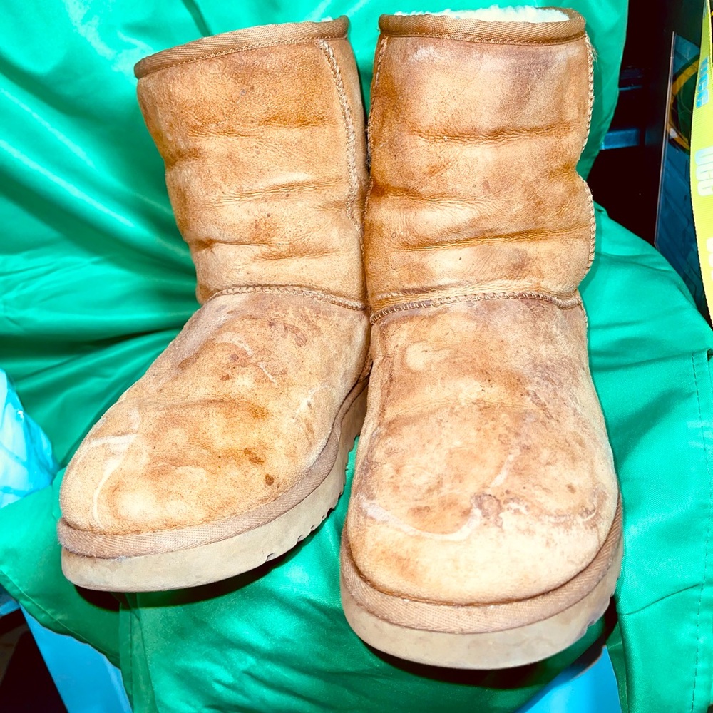 UGG Australia Classic Short Chestnut Mid Calf Boots.